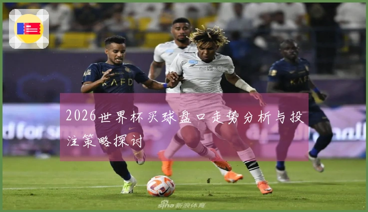 2026世界杯买球盘口走势分析与投注策略探讨
