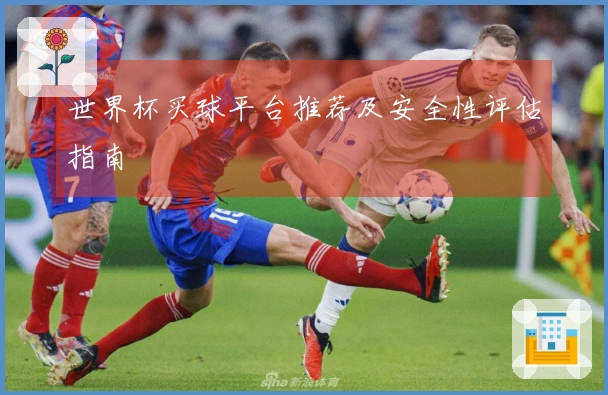 世界杯买球平台推荐及安全性评估指南