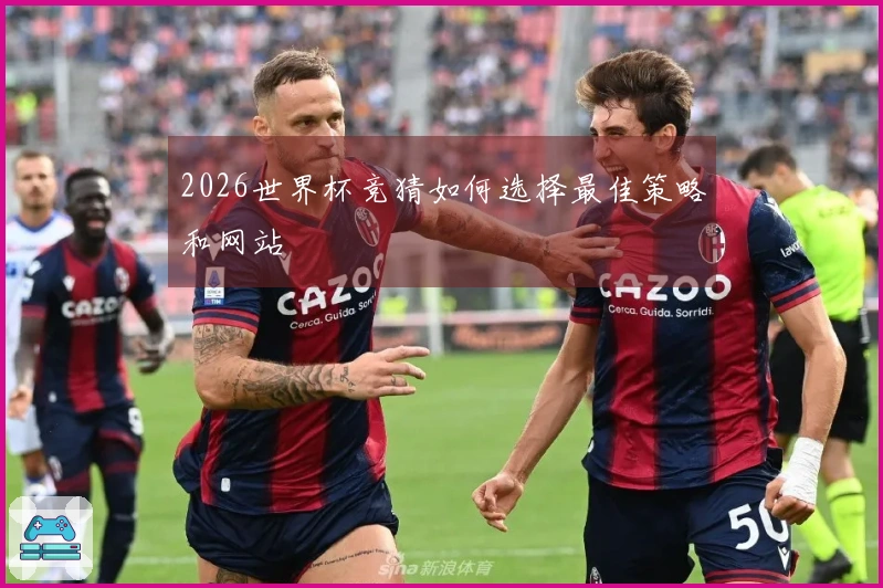 2026世界杯竞猜如何选择最佳策略和网站