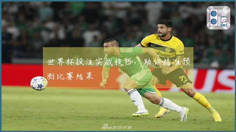 世界杯投注实战技巧,助你精准预测比赛结果