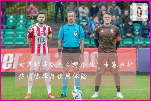 世界杯滚球平台哪个好？专家分析热门选择与使用体验