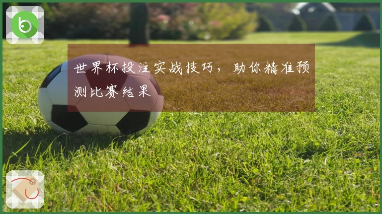 世界杯投注实战技巧，助你精准预测比赛结果