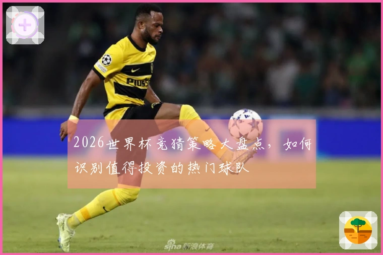 2026世界杯竞猜策略大盘点，如何识别值得投资的热门球队