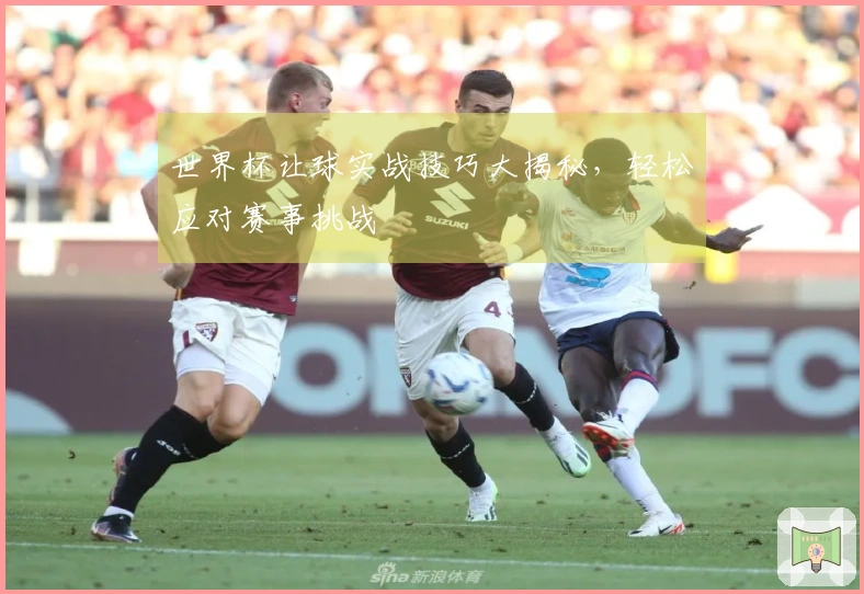 世界杯让球实战技巧大揭秘，轻松应对赛事挑战